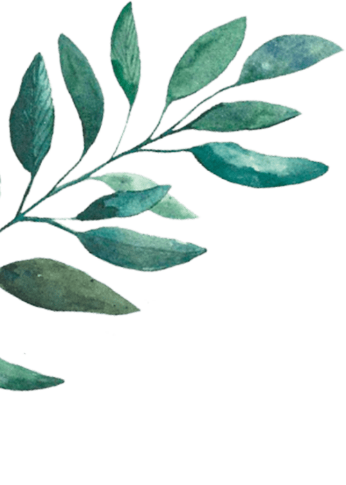 Bruiloft, feest of vergadering - De Kaaihof